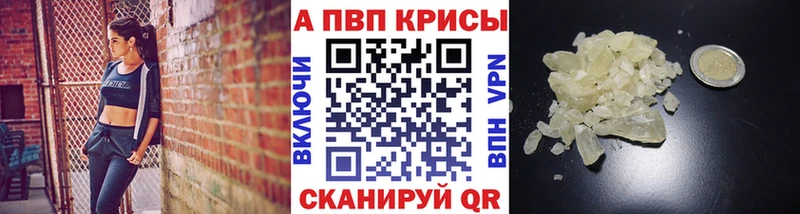 A PVP СК  Петропавловск-Камчатский 