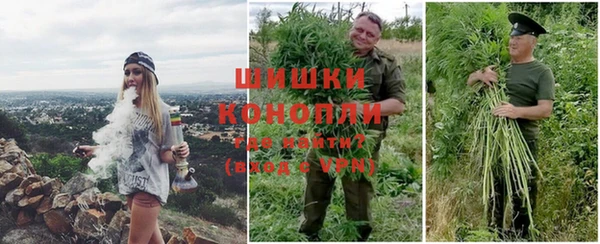 ПСИЛОЦИБИНОВЫЕ ГРИБЫ Алзамай