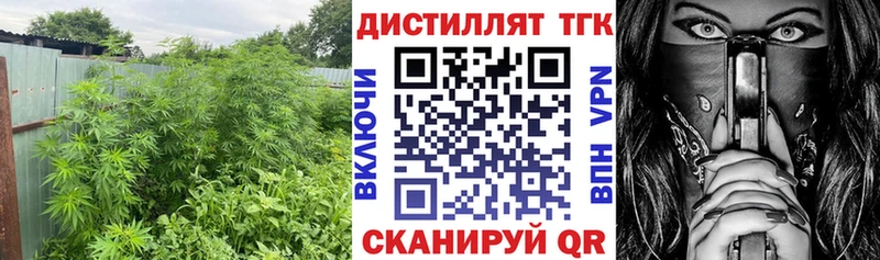 ТГК Wax Петропавловск-Камчатский